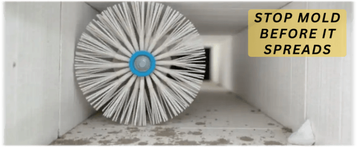Air Duct Mold Removal in Yonkers NY