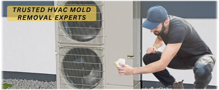 HVAC Mold Removal Yonkers NY